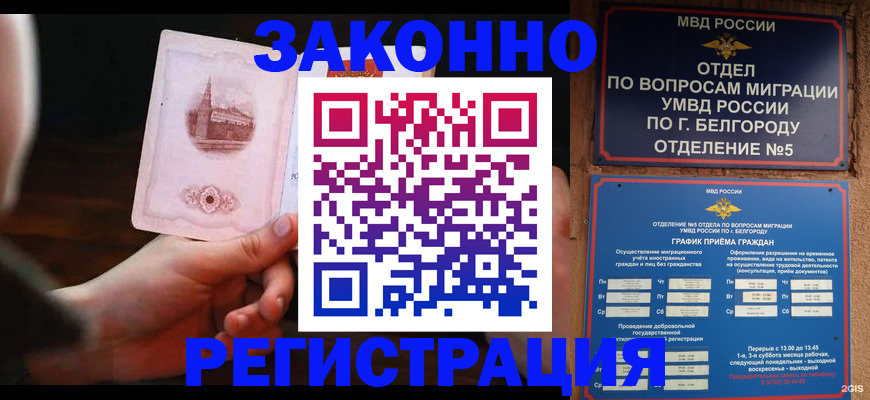 прописка 2025 в Шагонаре